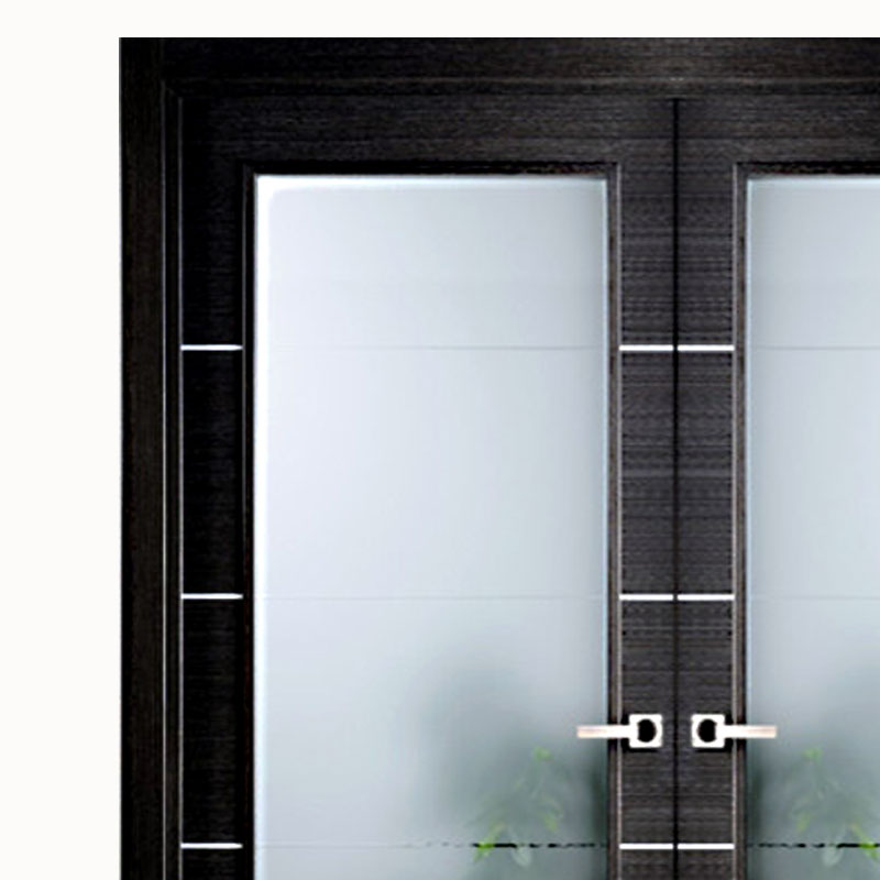 Aries Modern Interior Double Door Black with Glass Panels – Aries ...