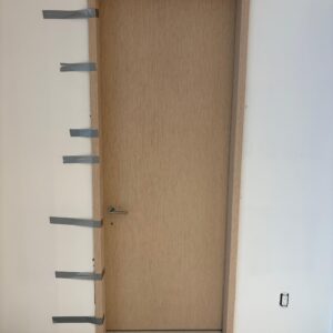 Aries-1V Solid core Wood Interior Door - Image 5