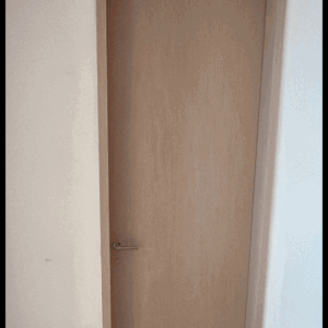 Aries-1V Solid core Wood Interior Door - Image 1