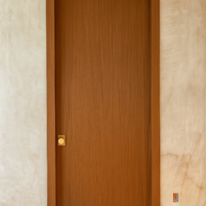 Aries-1V Solid core Wood Interior Door - Image 7