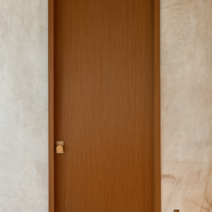 Aries-1V Solid core Wood Interior Door - Image 9